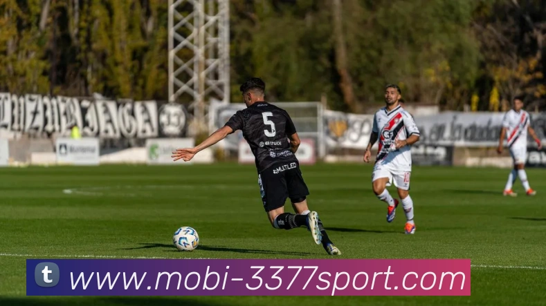 3377体育平台生态图